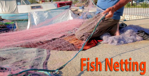 Fish Netting
