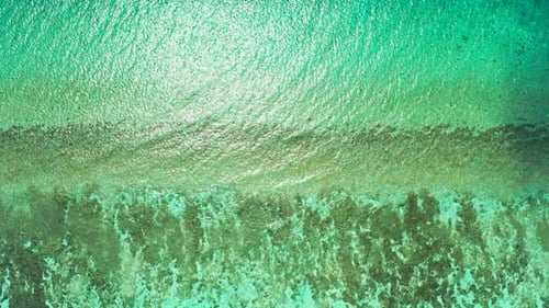 Aerial landscape of marine lagoon beach wildlife by blue ocean and white sand background of a dayout