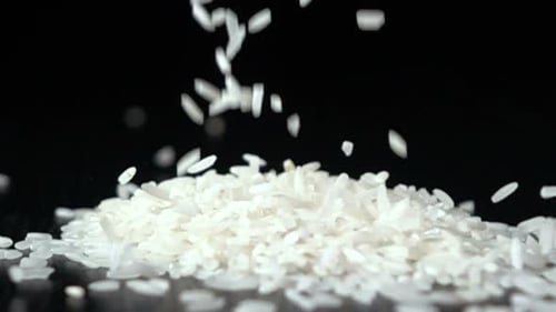 Falling Rice on the Black