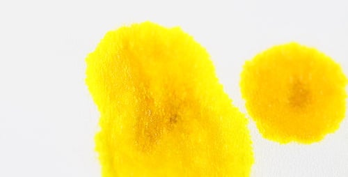 Goutte jaune