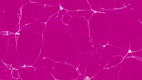 Dynamic Abstract Fluid Lines Animated Background