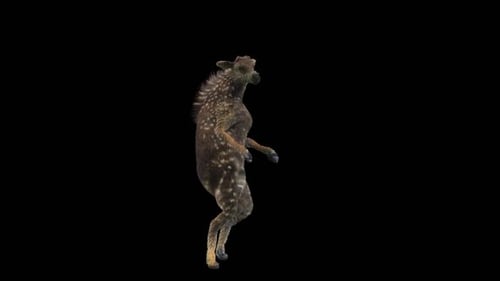 Dancing Baby Deer Cute Loop Animation with Alpha Channel