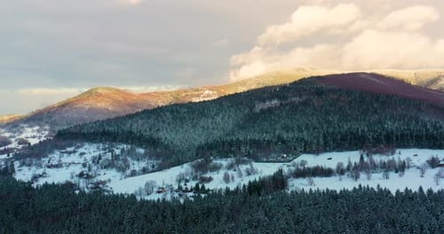 Aerial View of Forest Covered with Snow in Mountains