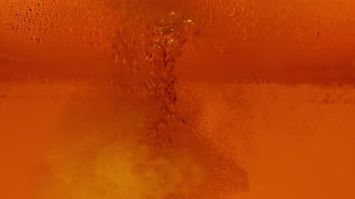 Beer Bubbles Macro