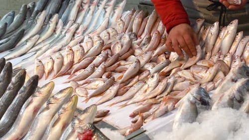 Fischhändler.