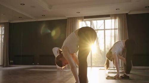 A Group of Women is Engaged in Stretching and Balance with an Instructor in a Beautiful Hall with
