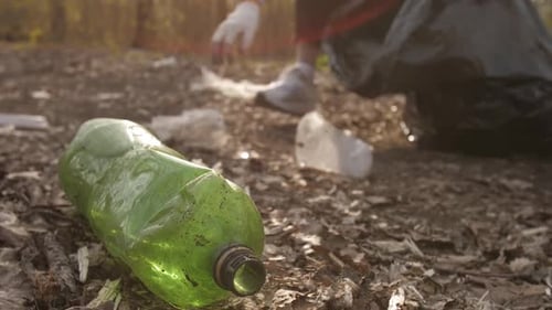 Adult Picking Up Litter and Trash in Forest