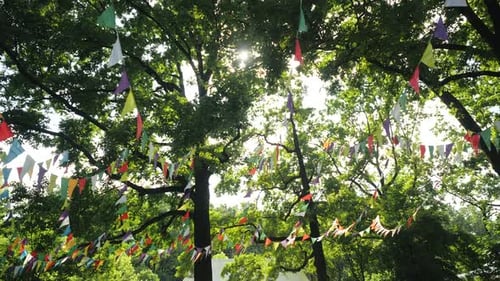 Festive Party Flags Stream Among Green Trees