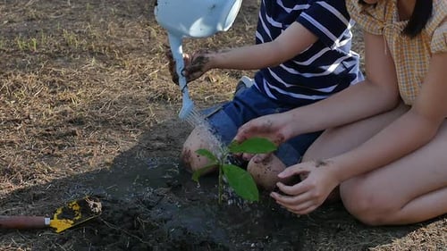 Child and Adult Watering Newly Planted Tree