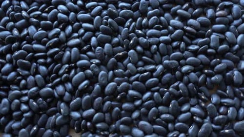 Pile of Dried Black Beans Close Up