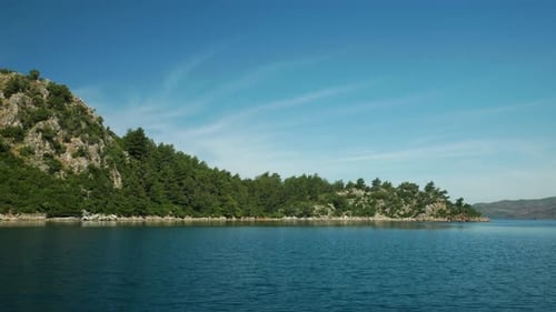 Lush Coastline on a Sunny Day