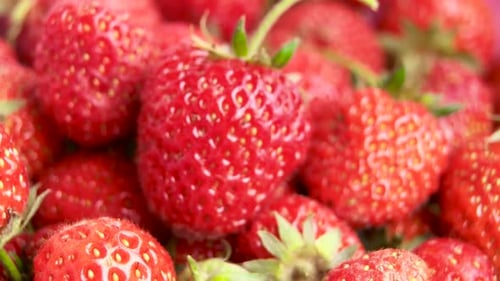 Erdbeere