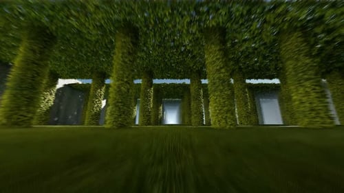 Green Leafy Columns