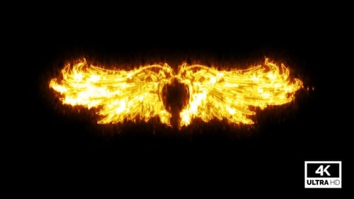 Fiery Abstract Wings Logo Reveal Animation