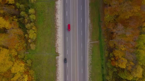 Top View of Traffic on a Highway Surrounded By Bright Autumn Forest.