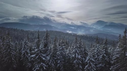 Im Winter über Wald und Berge fliegen