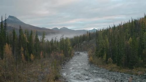 Blick von oben auf Waldlandschaft mit Fluss und Berge mit Nebel