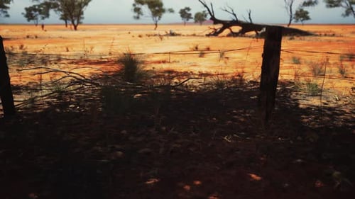 Slow Motion Barbed Wire Fence in Dry Outback Landscape