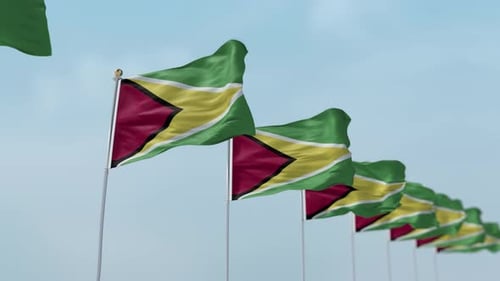 Guyana Row Of Flags