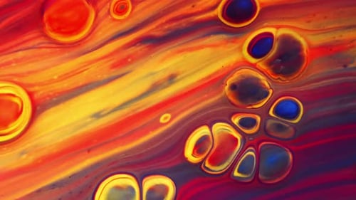 Fluid Art. Abstract Colorful Background Wallpaper. Mixing Paints. Modern Art