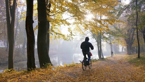 Autumn