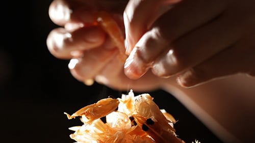 Peeling Fresh Shrimp Close Up