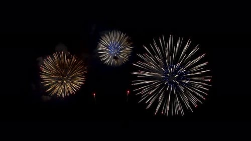 Colorful Fireworks Exploding in the Night Sky