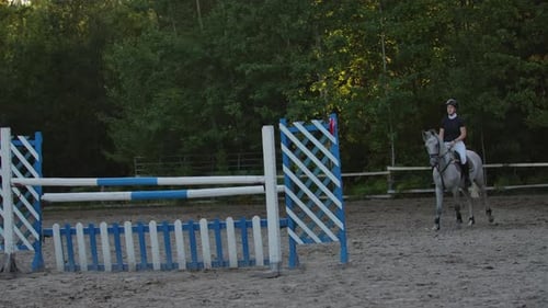 SLOW MOTION CLOSE UP LOW ANGLE Horsegirl Riding Strong Brown Horse Jumping the Fence in Sunny