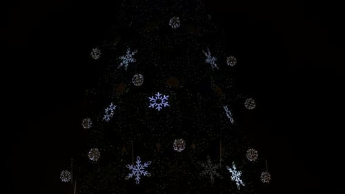 Illuminated Christmas Tree at Night in Urban Setting