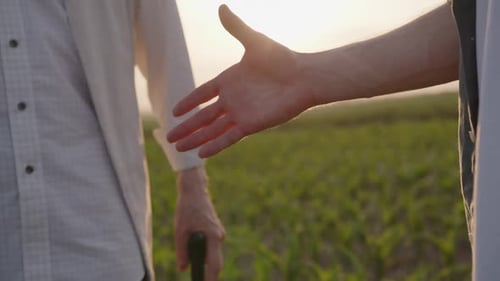 Slow Motion of a Men's Hands Green Field