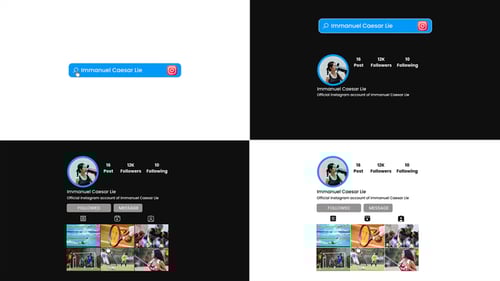 Instagram Search Profile Result Davinci Resolve