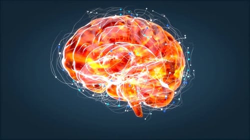 Rotating Glowing Human Brain with Neural Network Connections