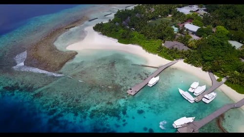 Aerial drone view landscape of luxury coast beach wildlife by shallow ocean with white sand backgrou