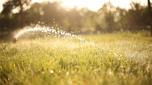Watering The Lawn