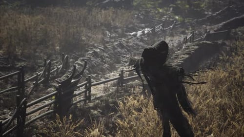 Scarecrow on the Old Village Field