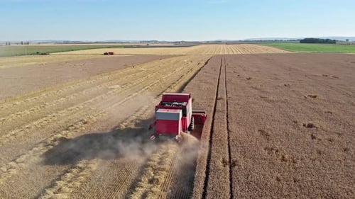 Aerial Shot Of Combine Harvester Working On Wheat Field