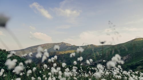 Scenic Mountain Landscape on a Cloudy Day