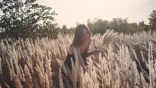 Beautiful Young Woman Walks in the Field Collects a Bouquet of Flowers and Spikelets