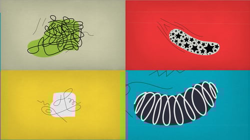 Hand-Drawn Fluid Abstract Logo Reveal Animation