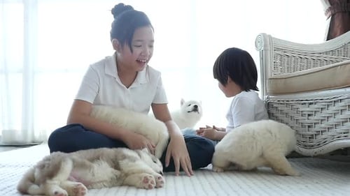 Children Play with Adorable Samoyed Puppies