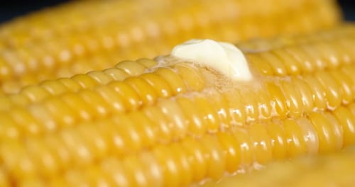 A Piece of Butter Melting on Hot Corn.