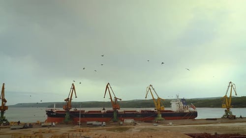 Cargo Ship Docked with Cranes at Busy Port
