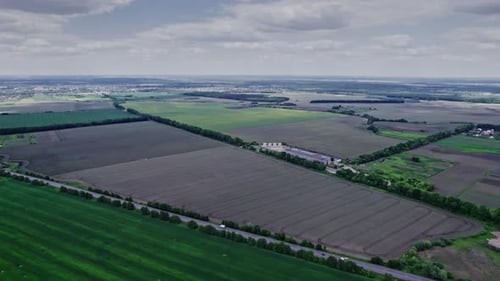Top View to the Green Farm Cornfield