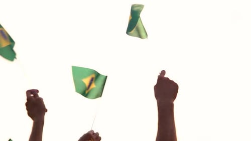 Voltar Visualizar pessoas levantando bandeiras do Brasil