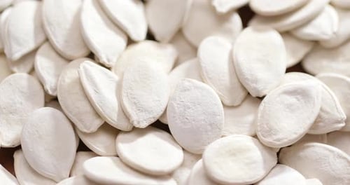 Close Up of White Pumpkin Seeds