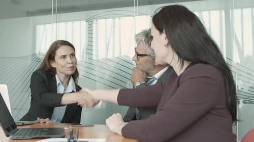 Business Professionals Shake Hands in Bright Conference Room