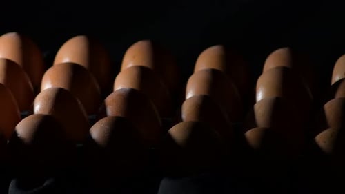 Œufs bruns