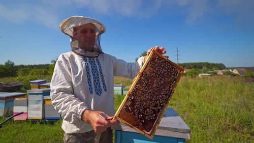Beekeeper on a farm. Portrait of an apiarist with frame full of bees.