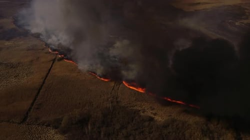 Raging Wildfire Consuming Open Grassy Field