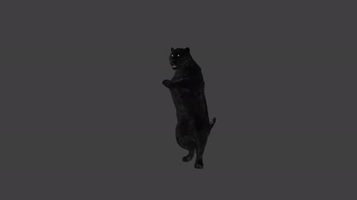 Black Panther 3D Animation Standing And Dancing